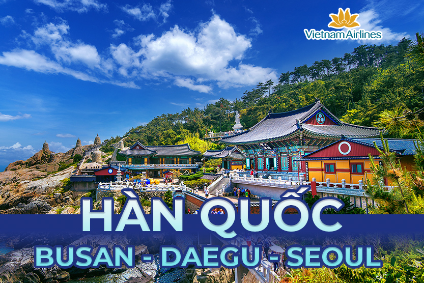 CÔNG TY TNHH THƯƠNG MẠI DỊCH VỤ DU LỊCH VẬN TẢI SAO VIỆT